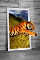 /album/graphic-design/tiger-jumping-through-mirror-jpg/